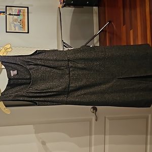 Ann Taylor Jumper Dress